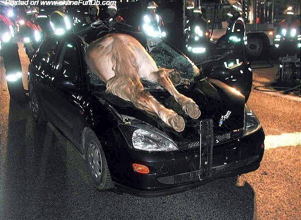 10402 Top 25 Unbelievable Accidents ! 