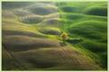 Amazing Landscape Photography!!!